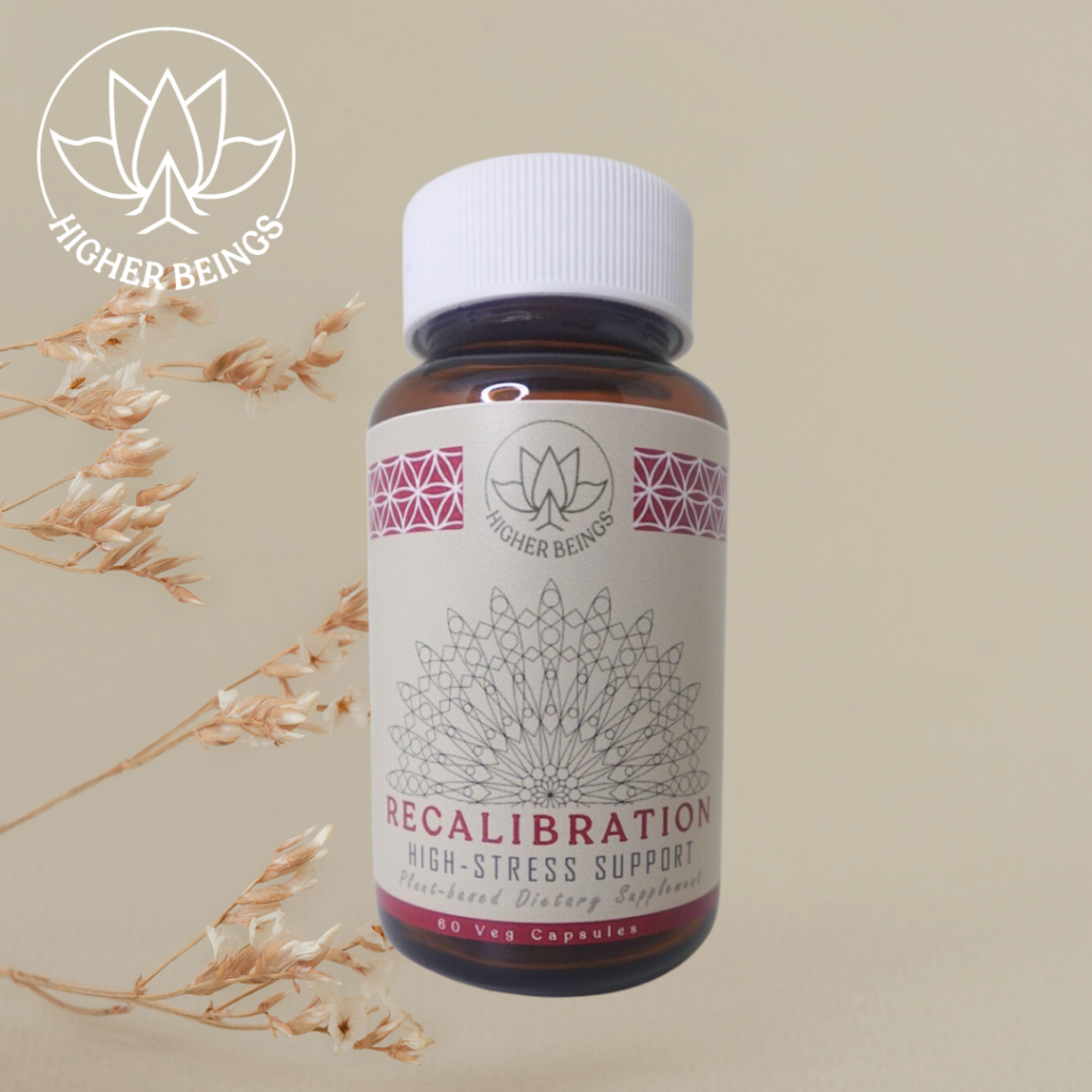 7_20230814_150705_0006